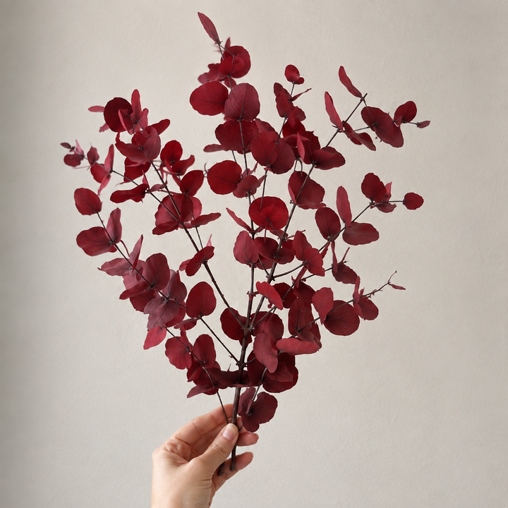 Wandbild mit getrocknetem Eukalyptus | rot