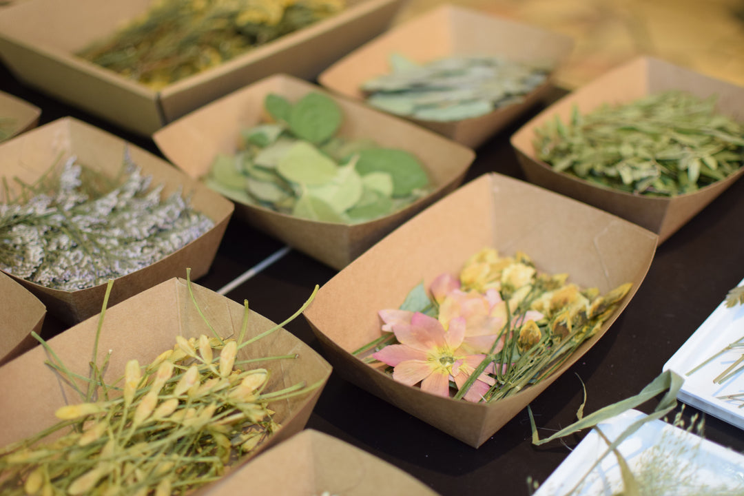 🌸 Gepresste Blütenkunst – Workshop am 16.01.2026