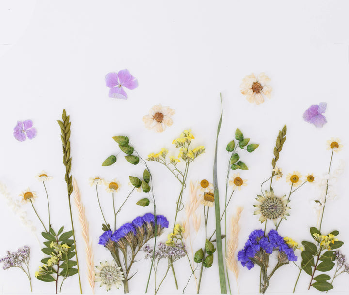 Floral Meadow Print