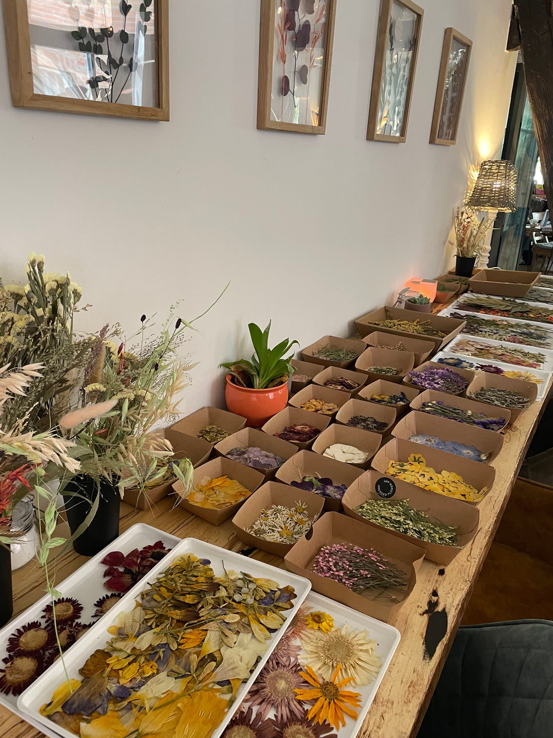 🌸 Blütenkunst Workshop am 07.11.2026 im Fachwerkcafè Schloss Neuhaus