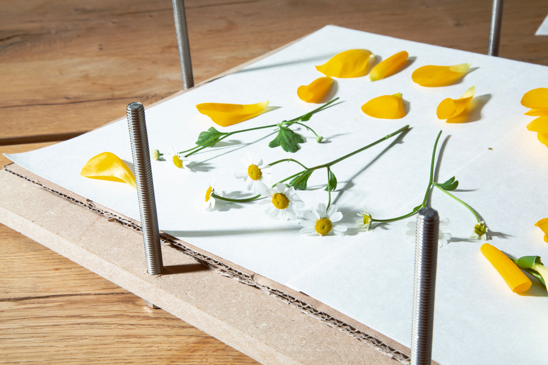 Fresh up your bouquet