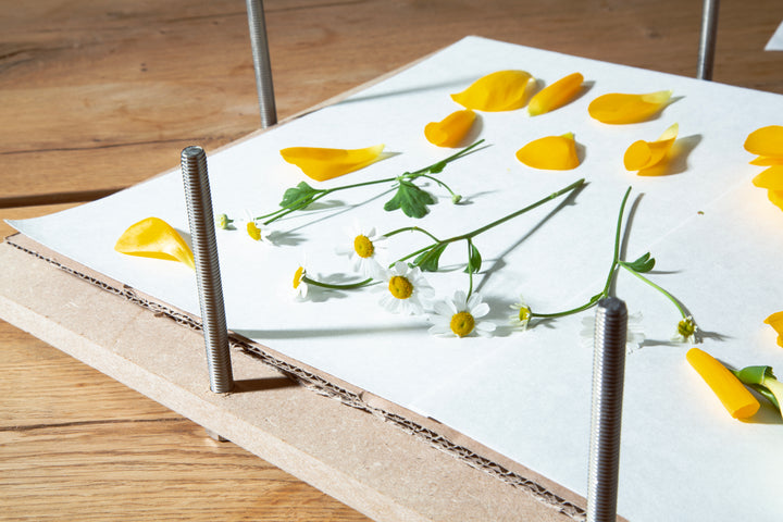Fresh up your bouquet