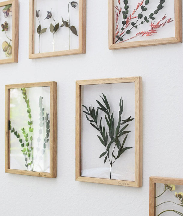 Wandbild m. Trockenblumen - diverse Eukalyptus Blätter