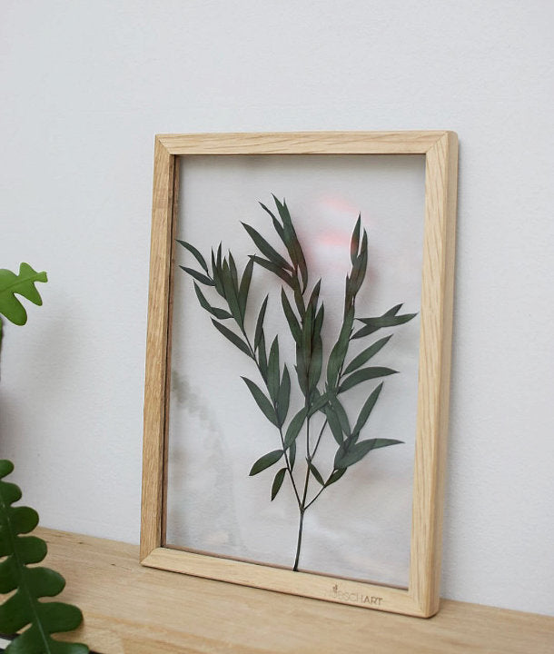 Wandbild m. Trockenblumen - diverse Eukalyptus Blätter
