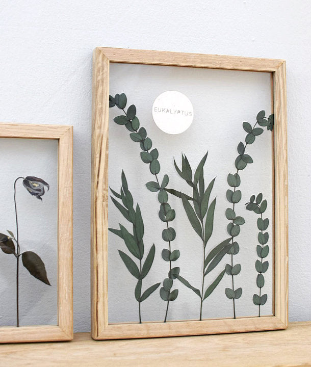 Wandbild m. Trockenblumen - diverse Eukalyptus Blätter