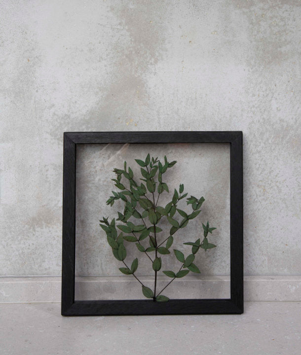 Wandbild m. Trockenblumen - Eukalyptus Blätter klein