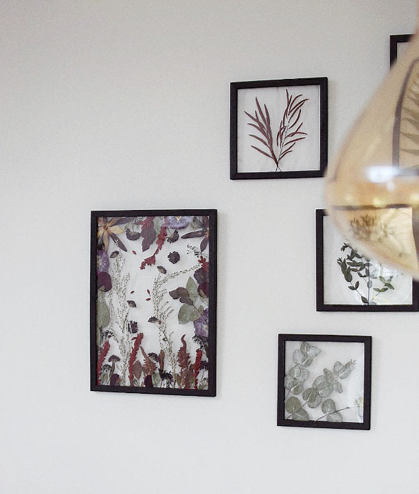 Wandbild m. Trockenblumen - Eukalyptus Blätter klein