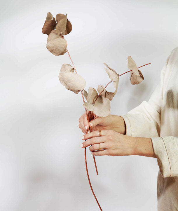 Wandbild m. Trockenblumen - diverse Trockenblumen