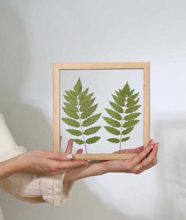 Wandbild m. Trockenblumen - Eberescheblatt