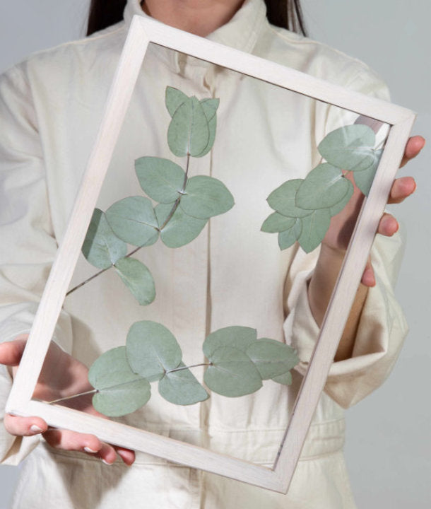 Wandbild m. Trockenblumen - Eukalyptus Blätter Natur Oval