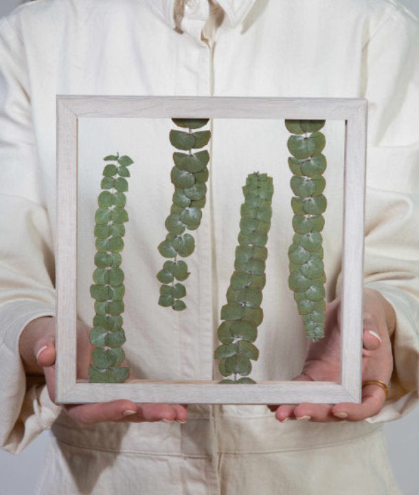 Wandbild m. Trockenblumen - Eukalyptus Baby Blue