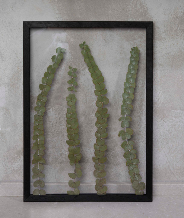 Wandbild m. Trockenblumen - Eukalyptus Baby Blue