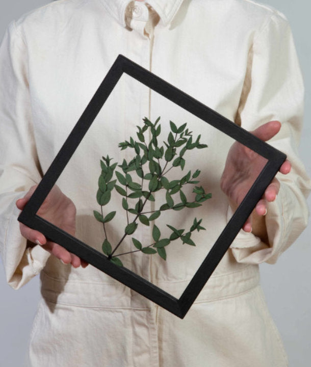 Wandbild m. Trockenblumen - Eukalyptus Blätter klein