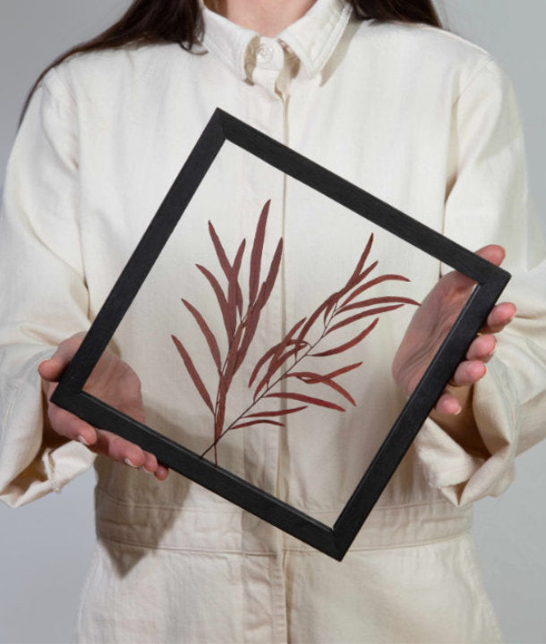 Wandbild m. Trockenblumen - Eukalyptus-Blätter länglich