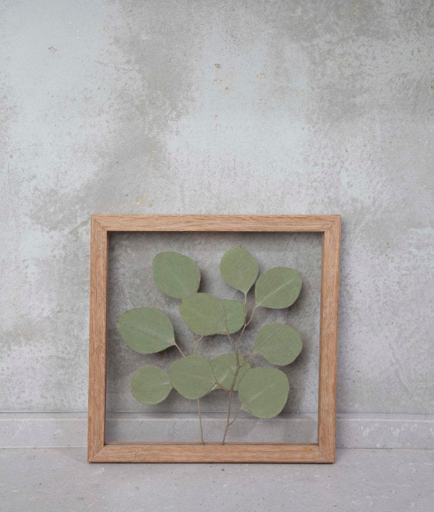 Wandbild m. Trockenblumen - Eukalyptus Natur Oval