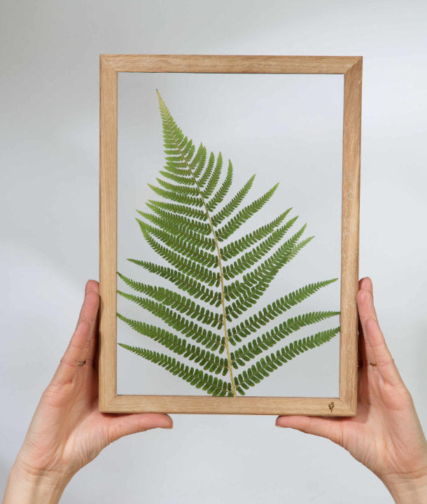 Wandbild m. Trockenblumen - Farn