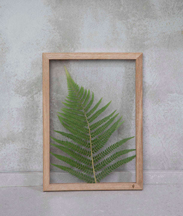 Wandbild m. Trockenblumen - Farn
