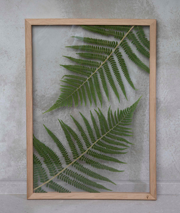 Wandbild m. Trockenblumen - Farn
