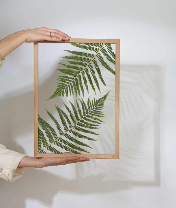 Wandbild m. Trockenblumen - Farn
