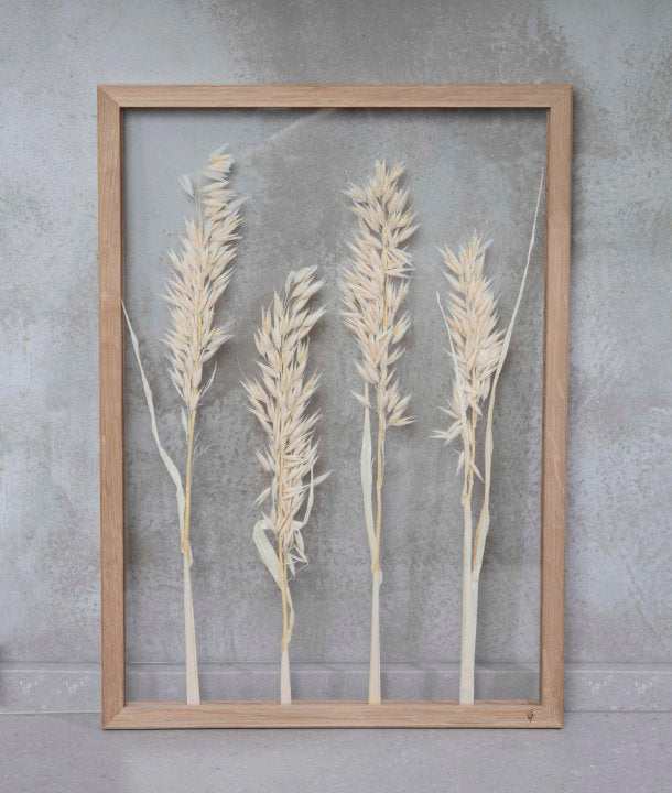 Wandbild m. Trockenblumen - Gräser Pflanzen