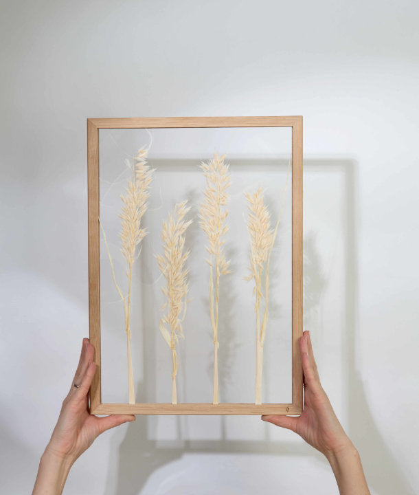 Wandbild m. Trockenblumen - Gräser Pflanzen