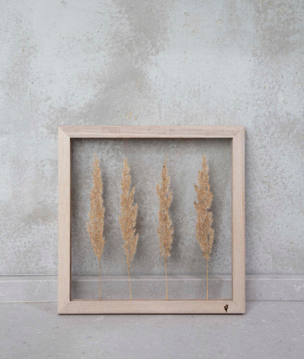 Wandbild m. Trockenblumen - Gräser Natur