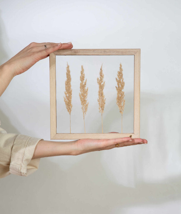 Wandbild m. Trockenblumen - Gräser Natur