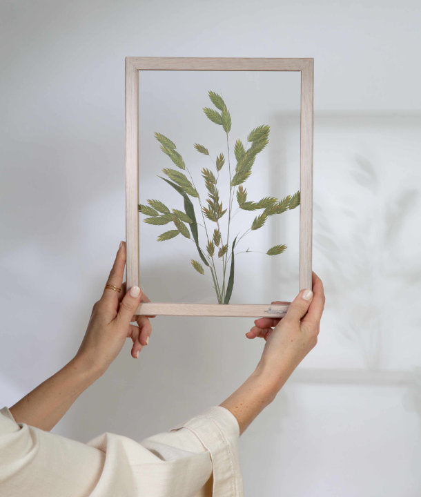 Wandbild m. Trockenblumen - Gräser Natur