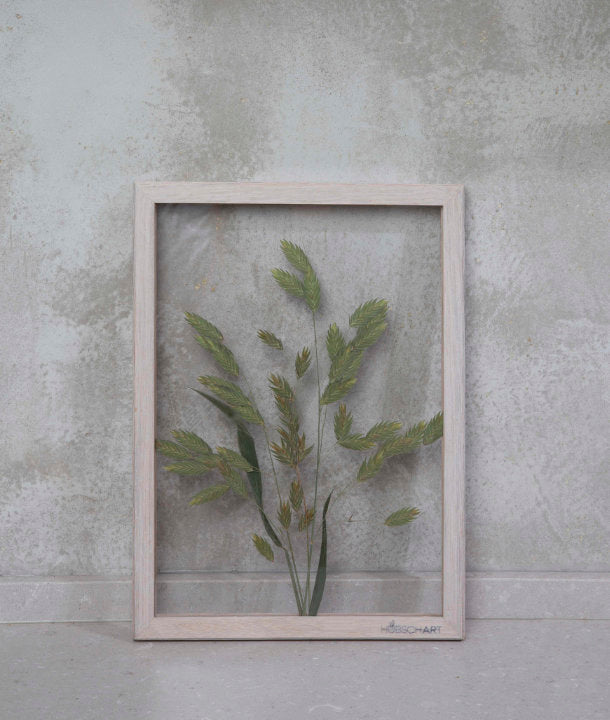 Wandbild m. Trockenblumen - Gräser Natur