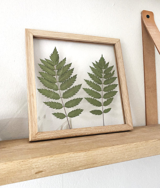 Wandbild m. Trockenblumen - Eberescheblatt
