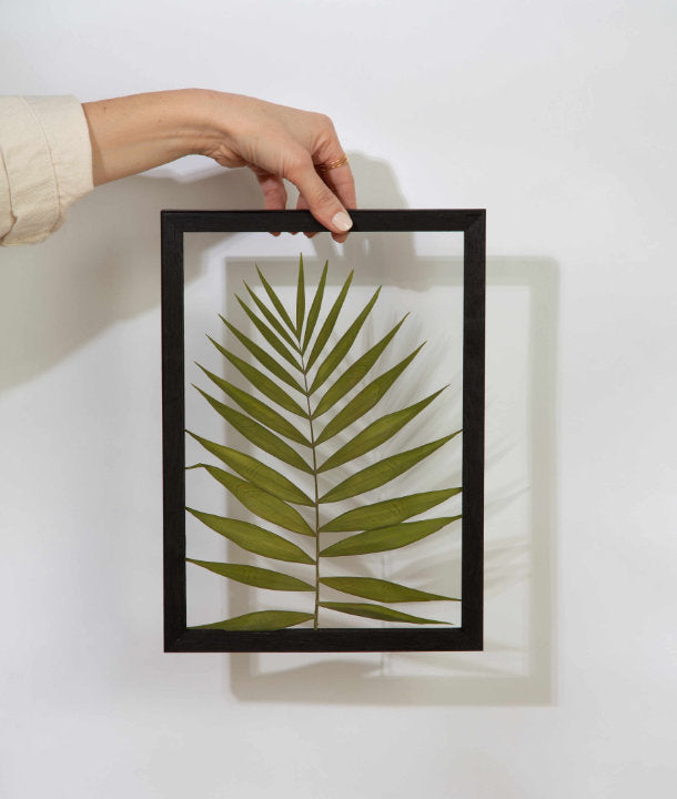 Wandbild m. Trockenblumen - Palmenblatt