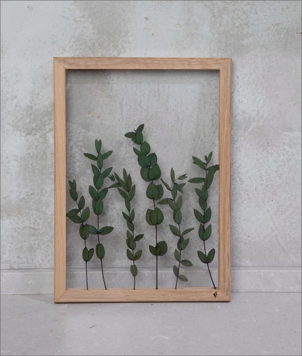 Wandbild m. Trockenblumen - diverse Eukalyptus Blätter