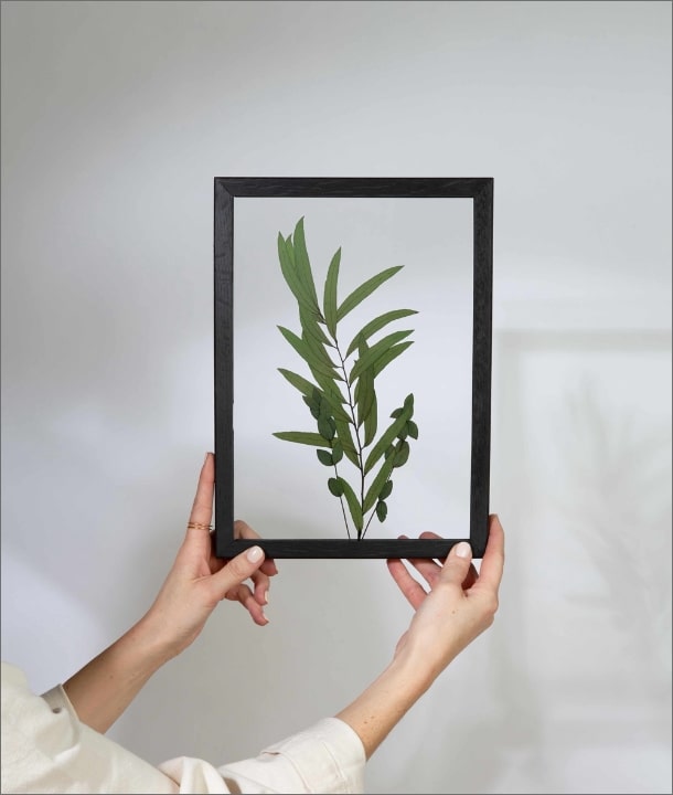 Wandbild m. Trockenblumen - Eukalyptus Blätter länglich