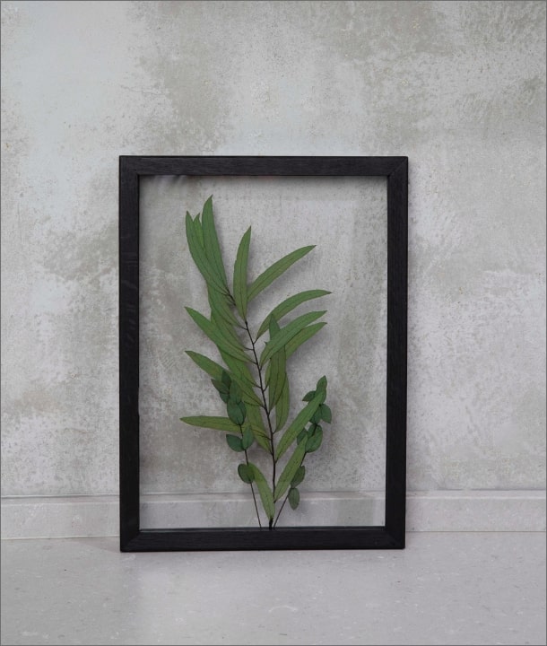 Wandbild m. Trockenblumen - Eukalyptus Blätter länglich