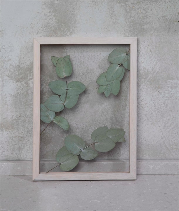 Wandbild m. Trockenblumen - Eukalyptus Blätter Natur Oval