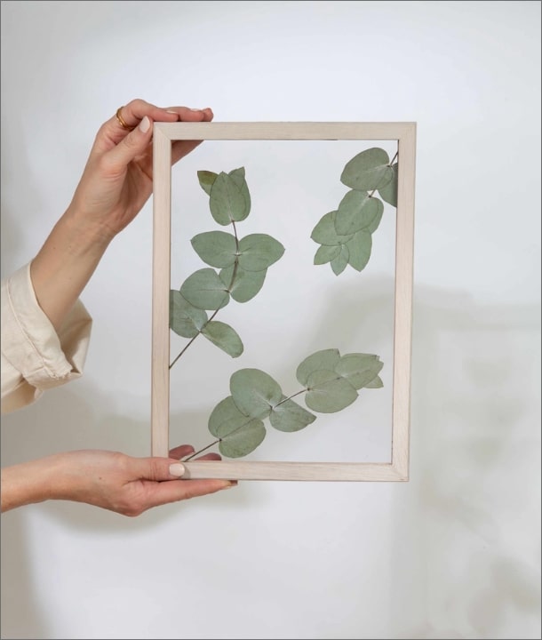 Wandbild m. Trockenblumen - Eukalyptus Blätter Natur Oval