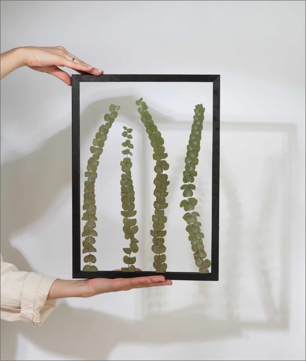 Wandbild m. Trockenblumen - Eukalyptus Baby Blue