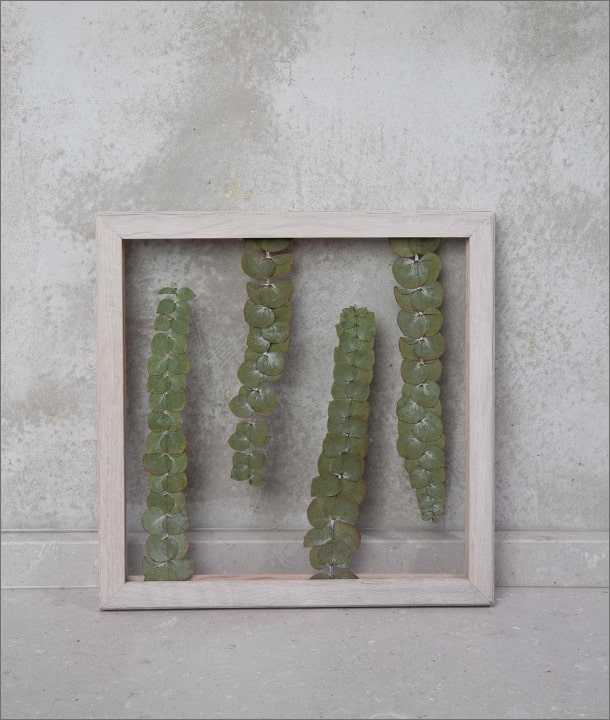 Wandbild m. Trockenblumen - Eukalyptus Baby Blue