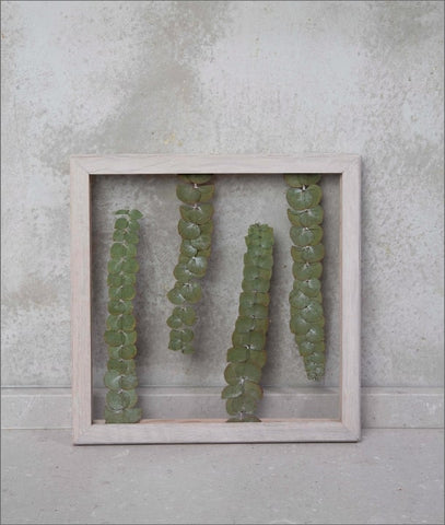 Wandbild m. Trockenblumen - Eukalyptus Baby Blue