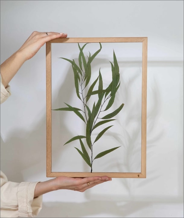 Wandbild m. Trockenblumen - Eukalyptus Blätter länglich