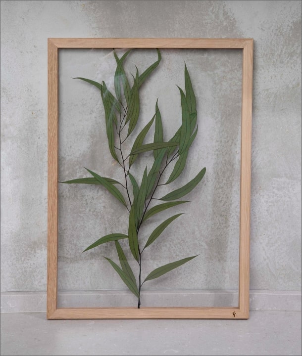 Wandbild m. Trockenblumen - Eukalyptus Blätter länglich