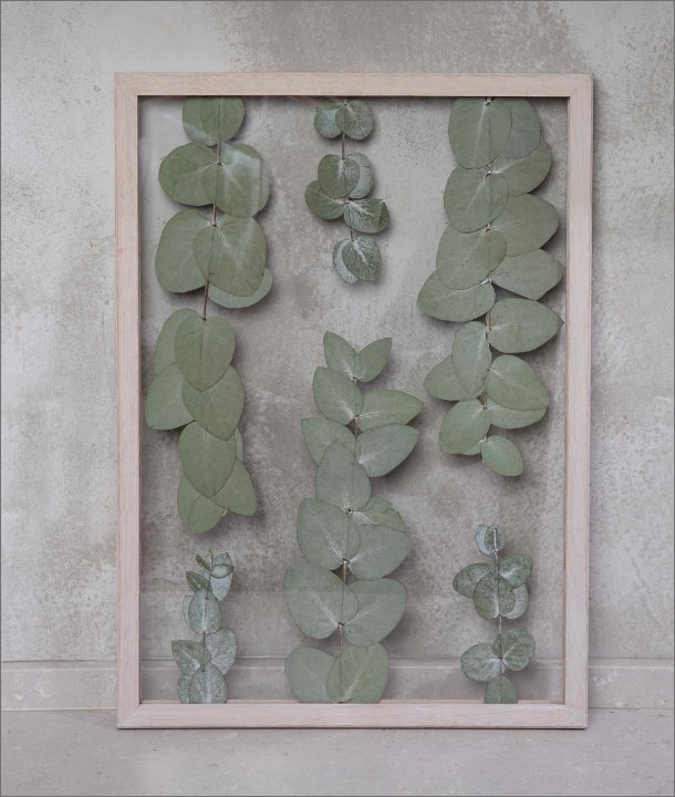 Wandbild m. Trockenblumen - Eukalyptus Blätter Natur Oval