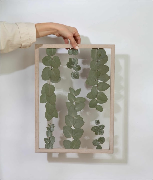 Wandbild m. Trockenblumen - Eukalyptus Blätter Natur Oval