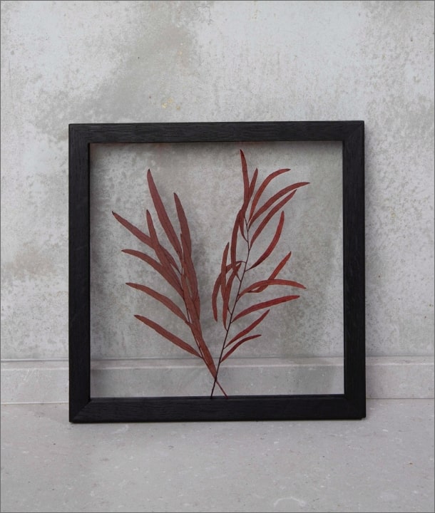 Wandbild m. Trockenblumen - Eukalyptus-Blätter länglich