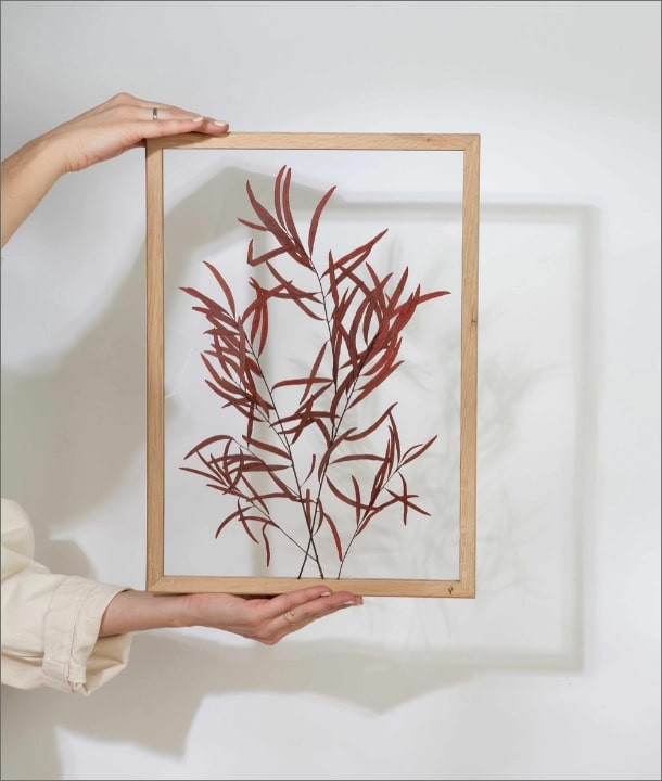 Wandbild m. Trockenblumen - Eukalyptus-Blätter länglich