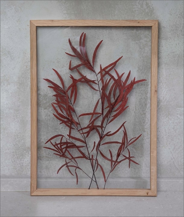 Wandbild m. Trockenblumen - Eukalyptus Blätter länglich rot