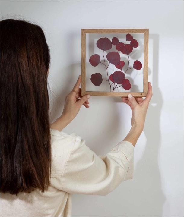 Wandbild m. Trockenblumen - Eukalyptus Blätter Rot Oval