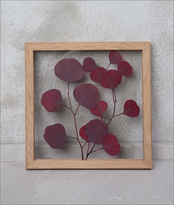 Wandbild m. Trockenblumen - Eukalyptus Blätter Rot Oval